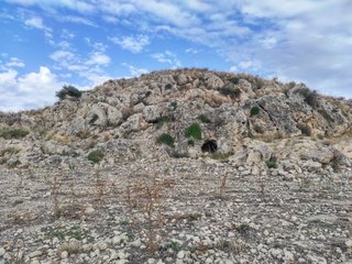 Poggio Cocola